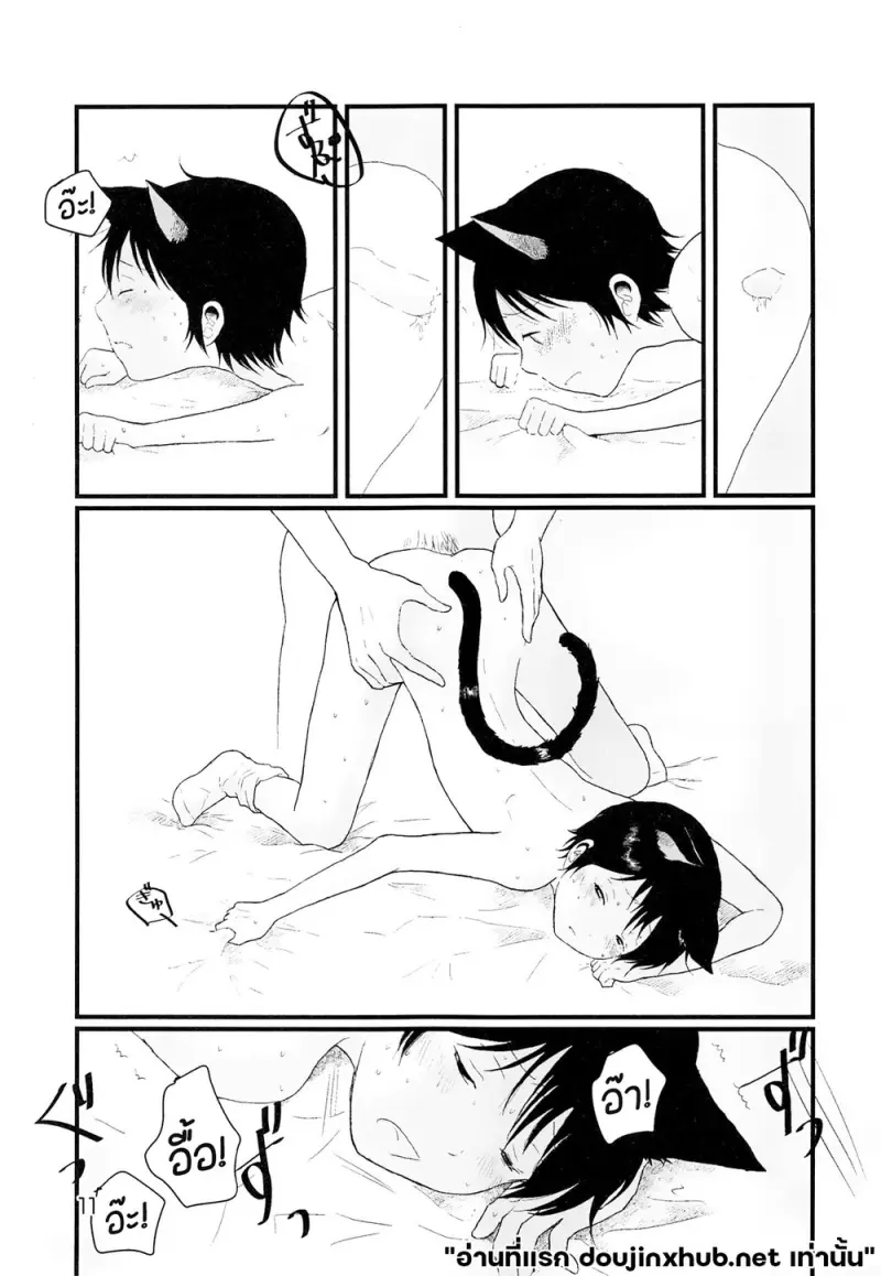 โดจิน ขนแมวกลิ่นควัน